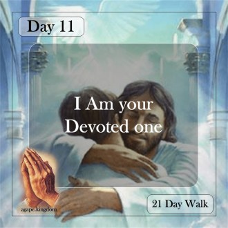 day 11