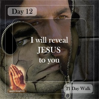 day 12