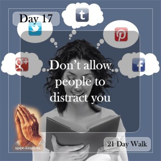 day 17