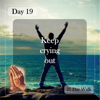 day 19