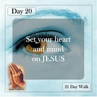 day 20