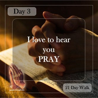 day 3