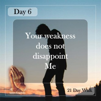 day 6